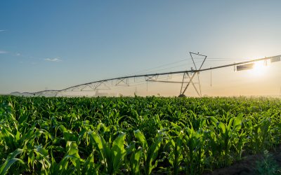 CIRCLE Z | Revolutionizing Farmland: The Power and Precision of Circle Irrigation Systems CIRCLE Z | Revolutionizing Farmland: The Power and Precision of Circle Irrigation Systems
