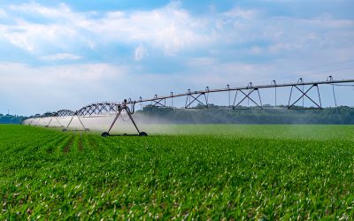 CIRCLE Z | Turning Circles into Harvest: The Power of Pivot Irrigation in Modern Farming CIRCLE Z | Turning Circles into Harvest: The Power of Pivot Irrigation in Modern Farming