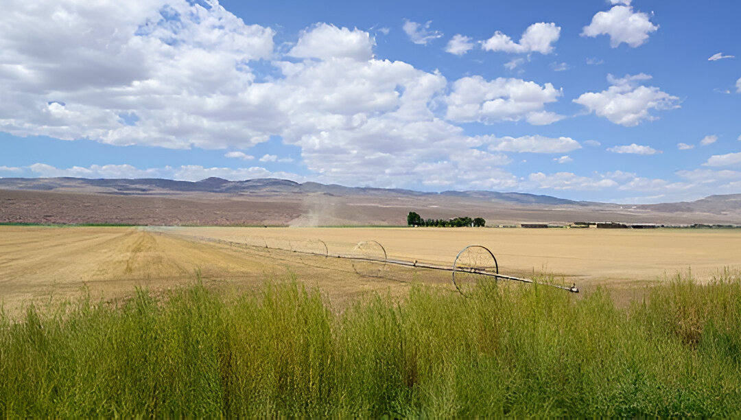 CIRCLE Z | Top Benefits of Circle Pivot Irrigation for Your Farm CIRCLE Z | Top Benefits of Circle Pivot Irrigation for Your Farm